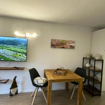 Studio Avec Piscine Partagee Jardin Amenage Et Wifi A * Boersch
